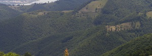 nacionalni_park_djerdap